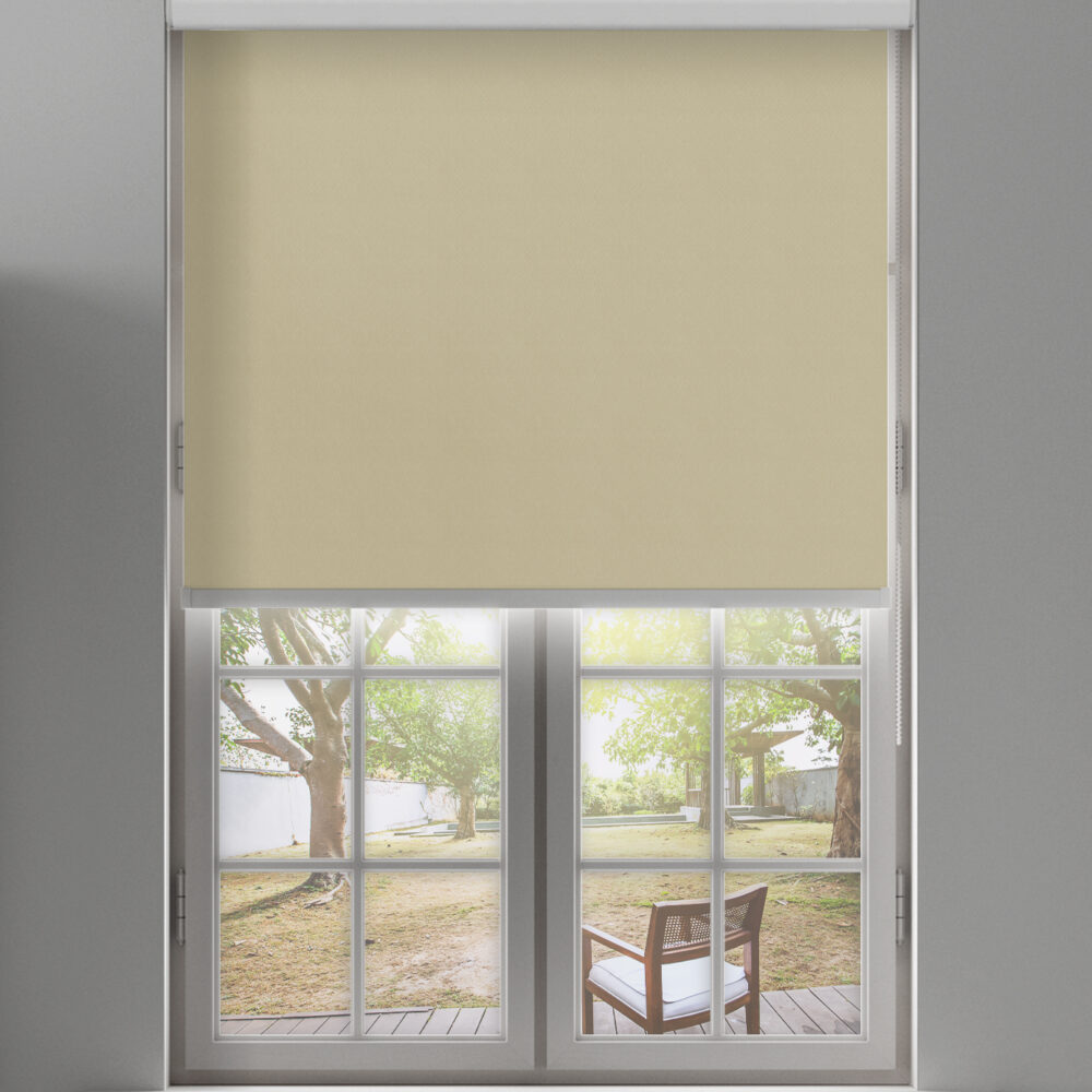 Shop Secondary Image